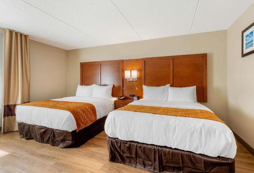 غرفه قياسيه سريرين مزدوجين, Comfort Inn & Suites