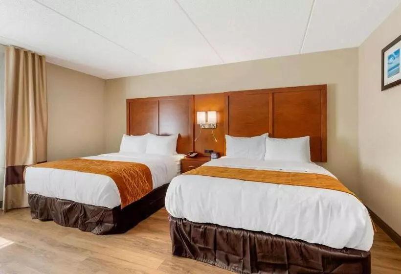 ２ダブルベッドのスタンダードルーム, Comfort Inn & Suites