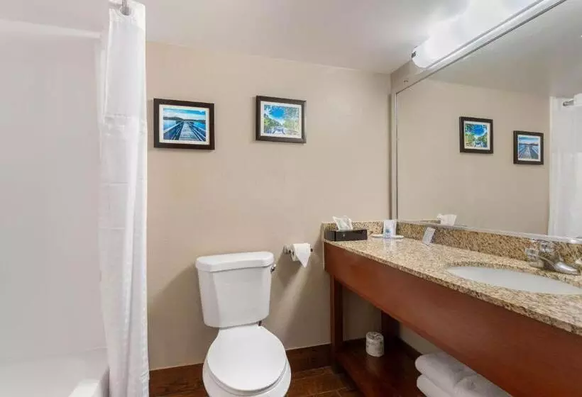 ２ダブルベッドのスタンダードルーム, Comfort Inn & Suites