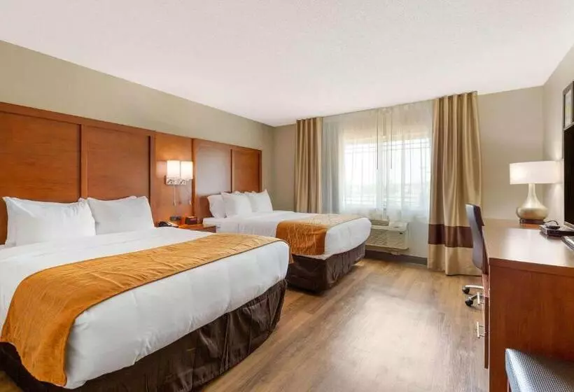 ２ダブルベッドのスタンダードルーム, Comfort Inn & Suites