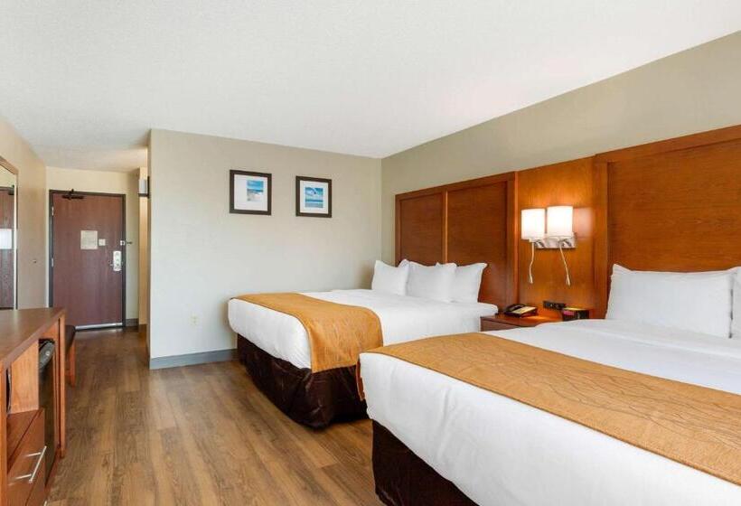 غرفه قياسيه سريرين مزدوجين, Comfort Inn & Suites
