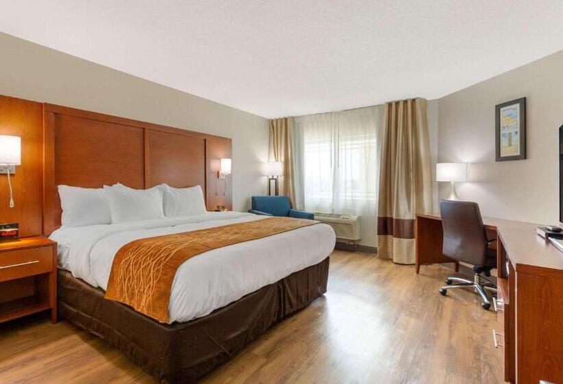 غرفة قياسية سرير كينج, Comfort Inn & Suites