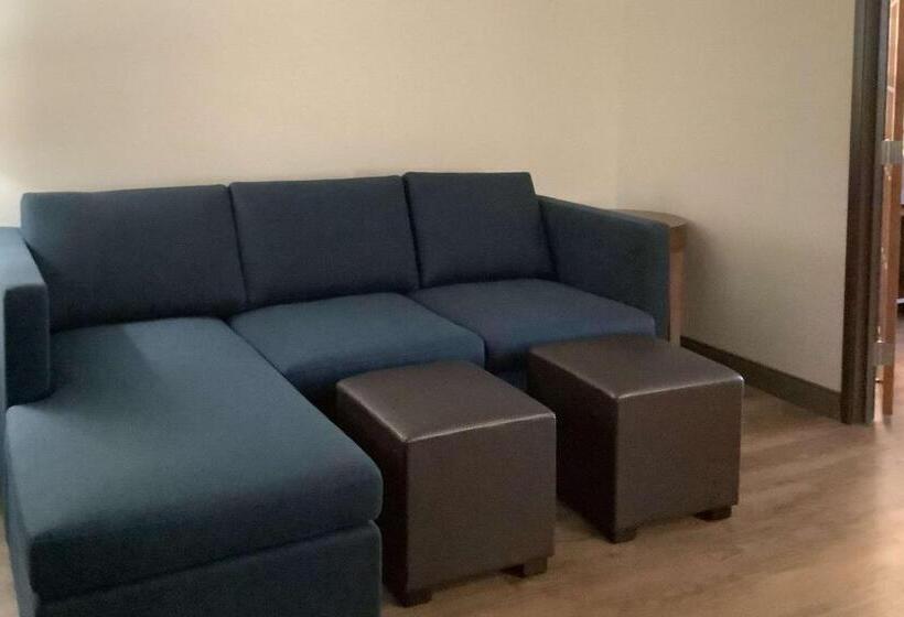 جناح سرير كينج, Comfort Inn & Suites