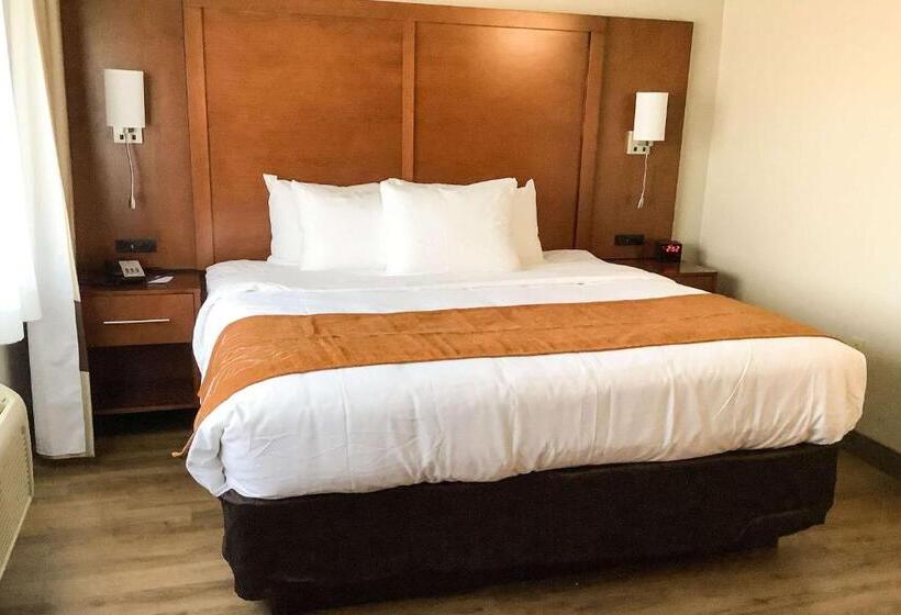 Люкс Кровать Кинг, Comfort Inn & Suites