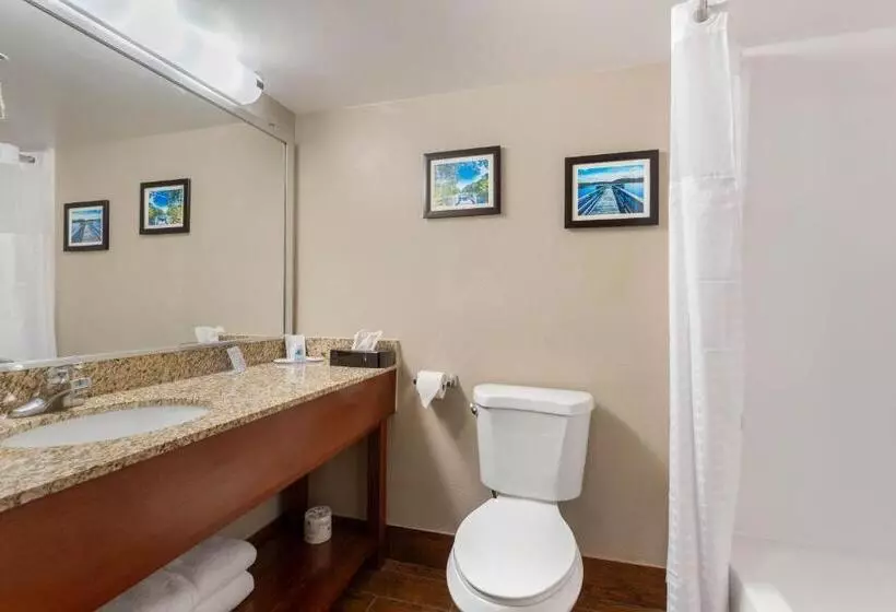 スイート（家族用）, Comfort Inn & Suites