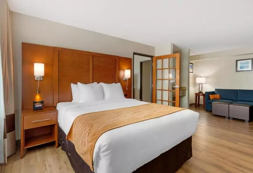 スイート（家族用）, Comfort Inn & Suites