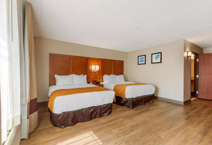 身障者適用スタンダードルーム, Comfort Inn & Suites