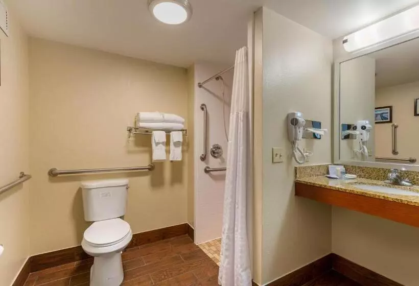 身障者適用スタンダードルーム, Comfort Inn & Suites