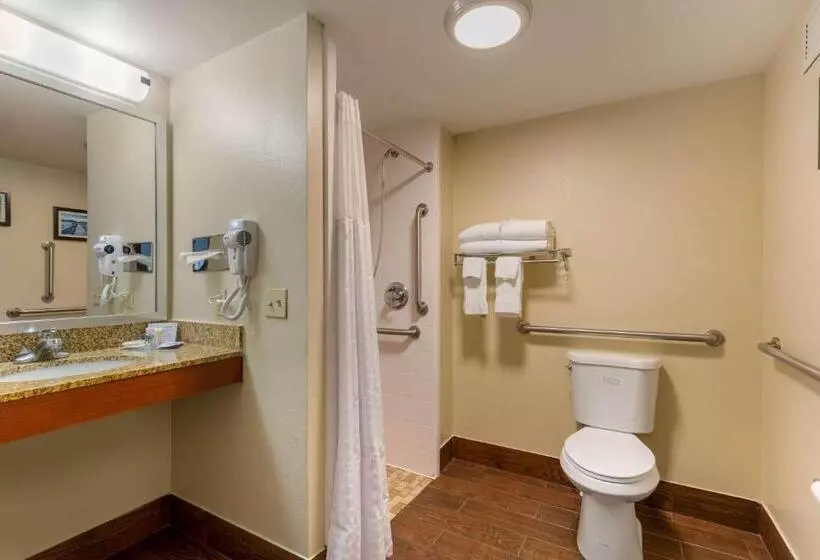 身障者適用スタンダードルーム, Comfort Inn & Suites