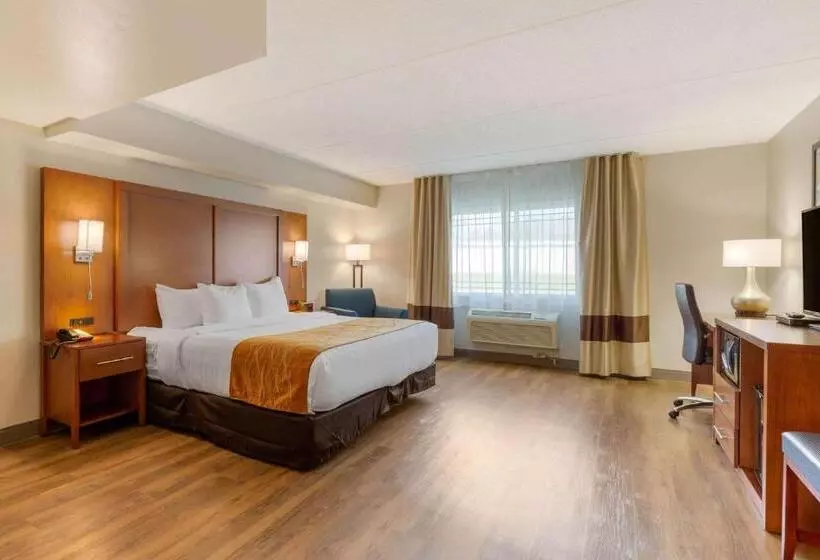 身障者適用キングサイズベッドルーム, Comfort Inn & Suites