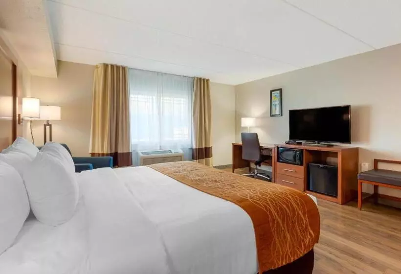 身障者適用キングサイズベッドルーム, Comfort Inn & Suites