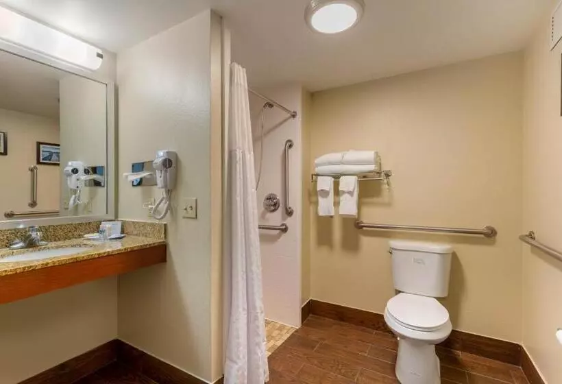 身障者適用キングサイズベッドルーム, Comfort Inn & Suites