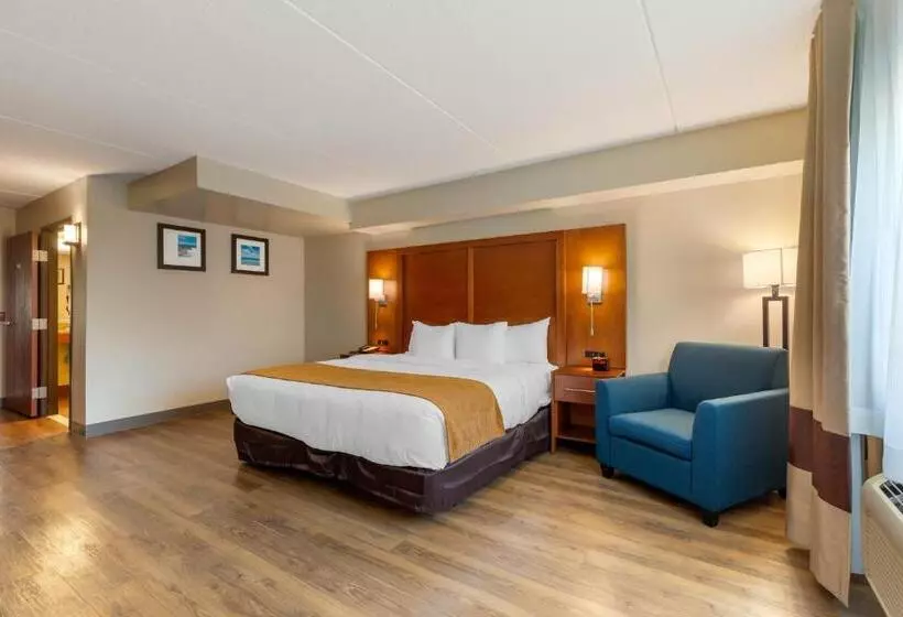 身障者適用キングサイズベッドルーム, Comfort Inn & Suites