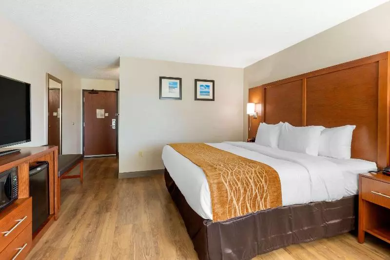 キングサイズベッドのスタンダードルーム, Comfort Inn & Suites