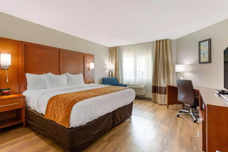 キングサイズベッドのスタンダードルーム, Comfort Inn & Suites