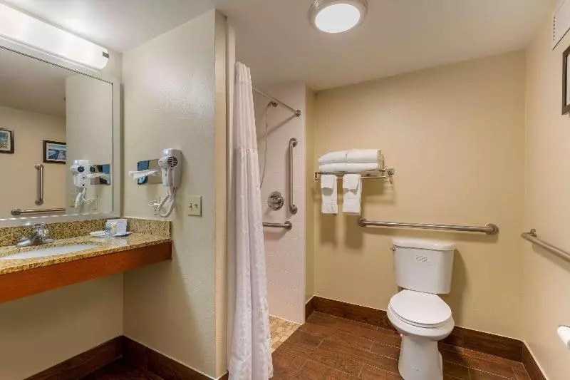 キングサイズベッドのスタンダードルーム, Comfort Inn & Suites