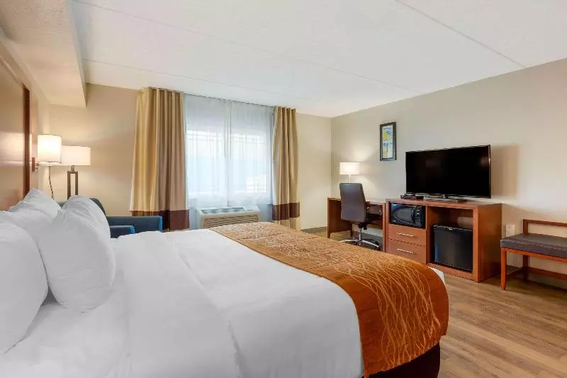 キングサイズベッドのスタンダードルーム, Comfort Inn & Suites