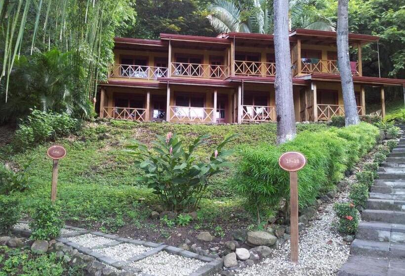 스탠다드 룸 풀장 전망, Esencia Hotel And Villas