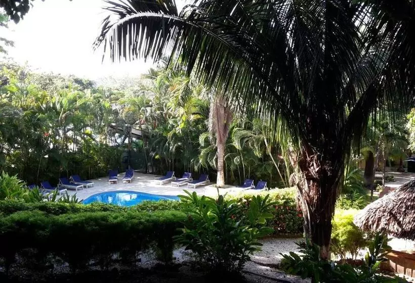 اتاق سوپریور با چشم‌انداز استخر, Esencia Hotel And Villas
