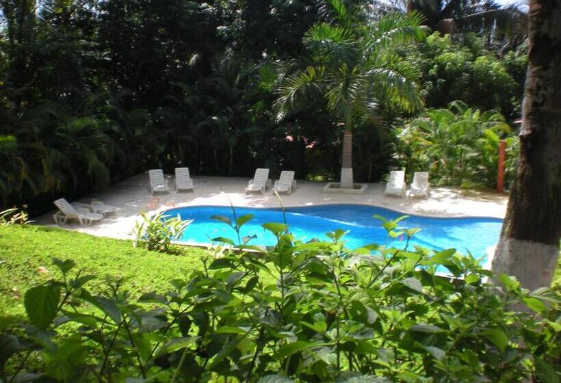 수피리어 룸 풀장 전망, Esencia Hotel And Villas