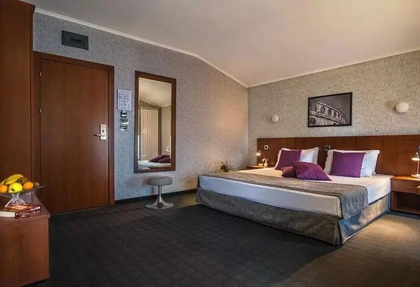 اتاق استاندارد یک نفره, Forum Hotel Self Check In Stara Zagora