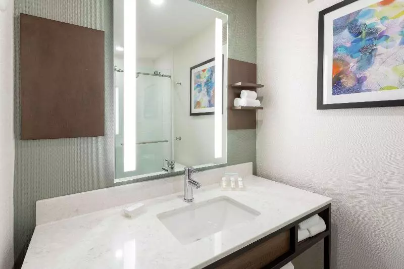 اتاق استاندارد با تخت بزرگ, Hilton Garden Inn Minneapolis/bloomington