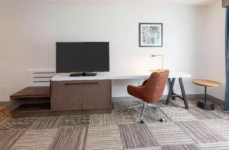 اتاق استاندارد با تخت بزرگ, Hilton Garden Inn Minneapolis/bloomington