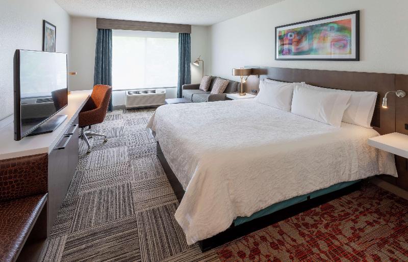 Стандартный Номер Кровать Кинг, Hilton Garden Inn Minneapolis/bloomington