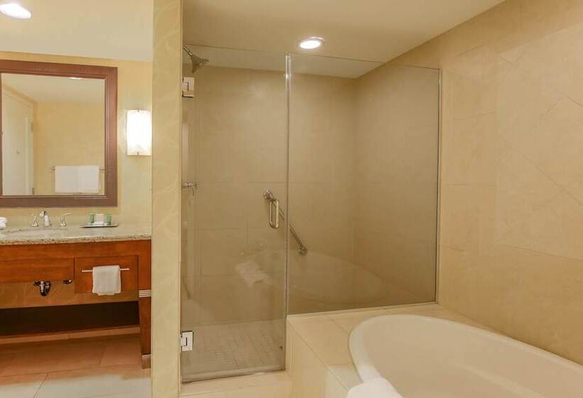 스탠다드 룸, Hilton Promenade At Branson Landing