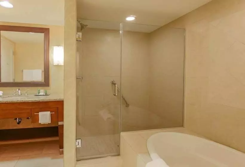 اتاق استاندارد, Hilton Promenade At Branson Landing