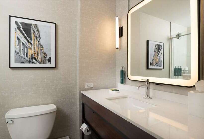 수피리어 룸, Hilton Promenade At Branson Landing