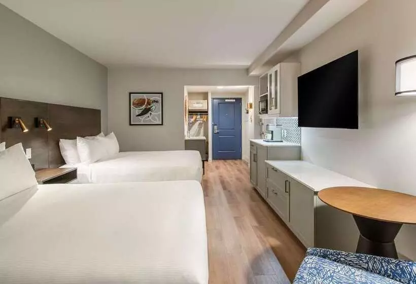 اتاق سوپریور, Hilton Promenade At Branson Landing