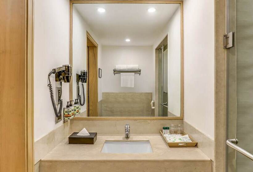 豪华房间, Lemon Tree Premier City Center