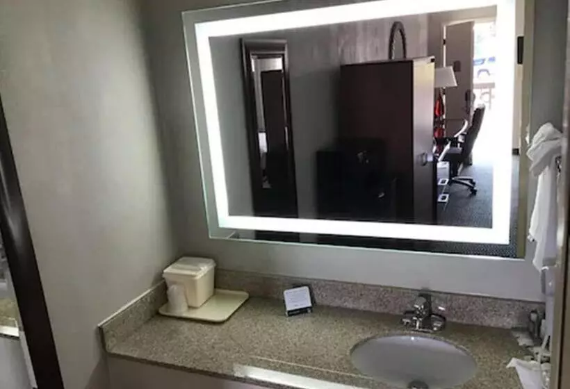 Standard-huone King-vuode, Quality Inn Christiansburg Blacksburg
