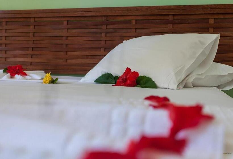 غرفة قياسية بالطابق الأرضى, Pousada Pedra Torta