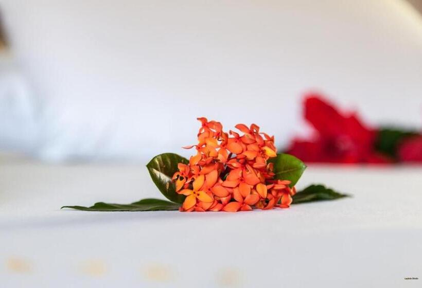 غرفة قياسية بالطابق الأرضى, Pousada Pedra Torta