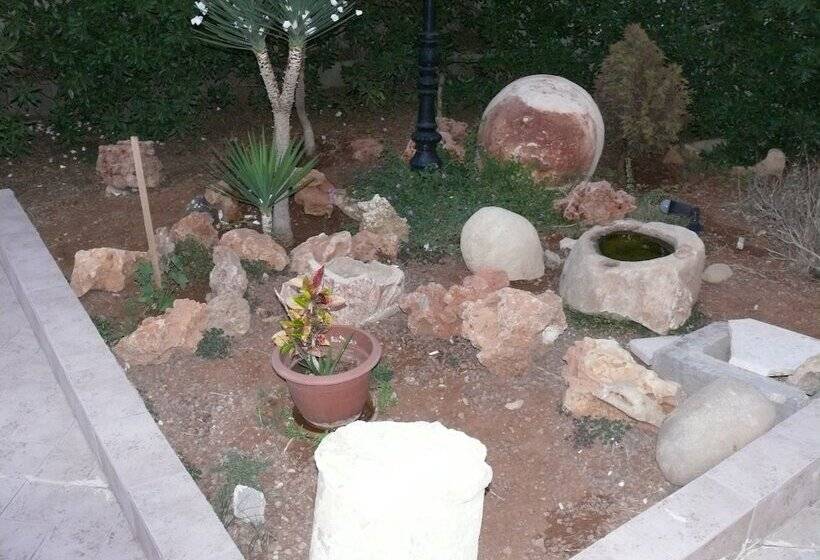 اتاق استاندارد یک نفره, Salome