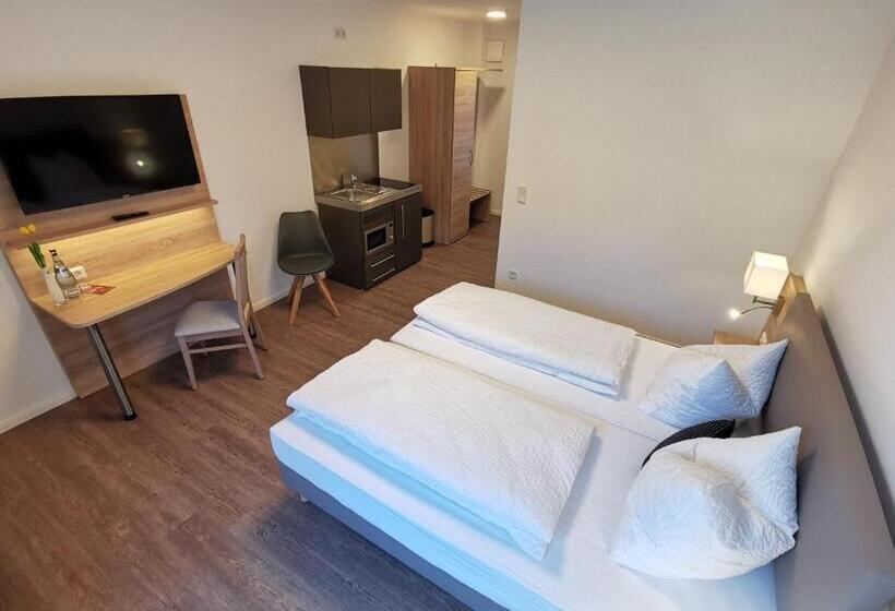 חדר סטנדרט עם טרסה, Zur Erholung