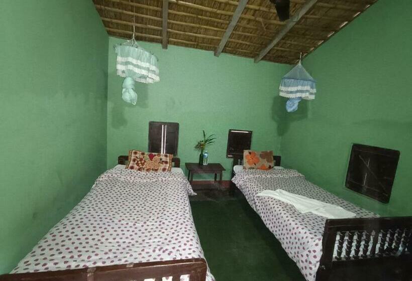 اتاق اکونومی, Crocodile Safari Camp