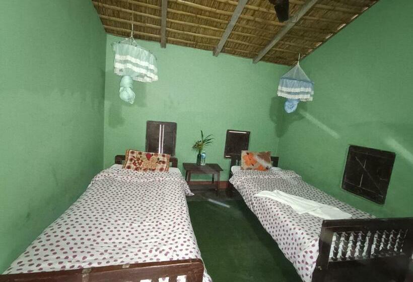 اتاق اکونومی, Crocodile Safari Camp