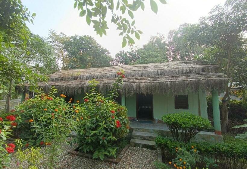 اتاق اکونومی, Crocodile Safari Camp