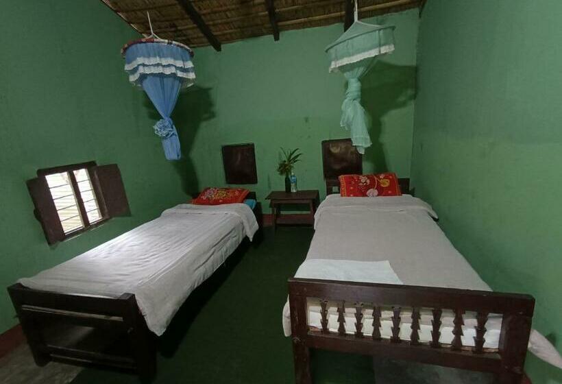 اتاق اکونومی, Crocodile Safari Camp