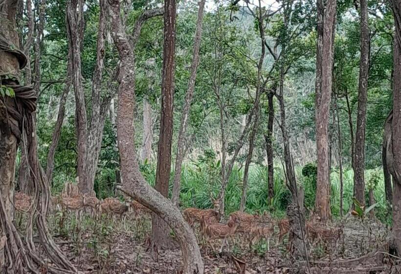 اتاق اکونومی, Crocodile Safari Camp