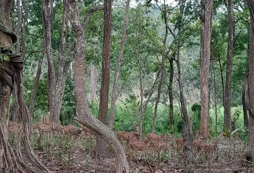 اتاق اکونومی, Crocodile Safari Camp