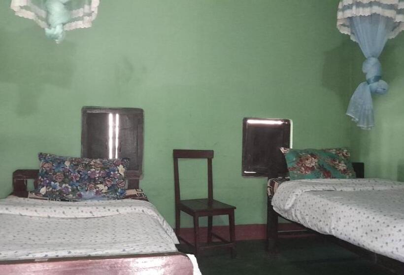 اتاق اکونومی, Crocodile Safari Camp