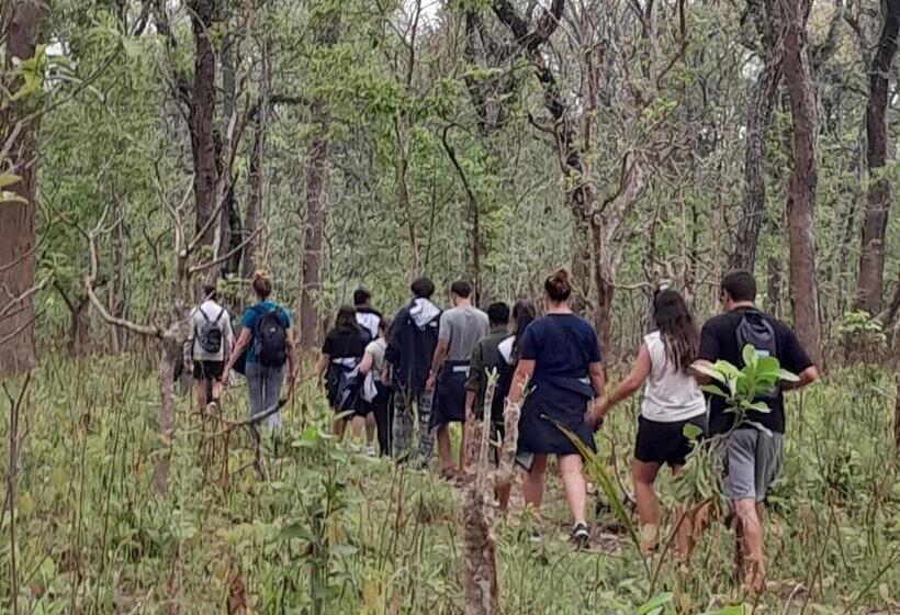 اتاق استاندارد با 2 تخت دوبل, Crocodile Safari Camp