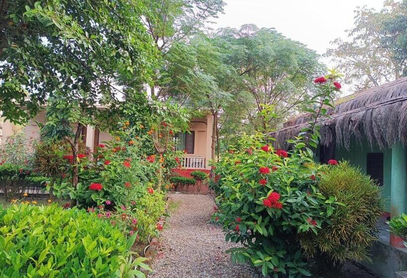 اتاق استاندارد با 2 تخت دوبل, Crocodile Safari Camp