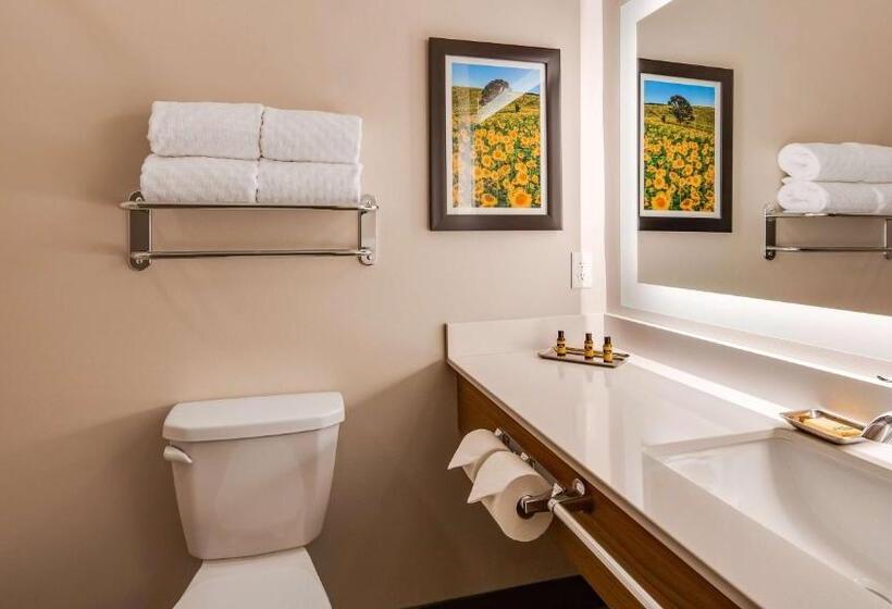 身障者適用キングサイズベッドルーム, Best Western Plus Jefferson