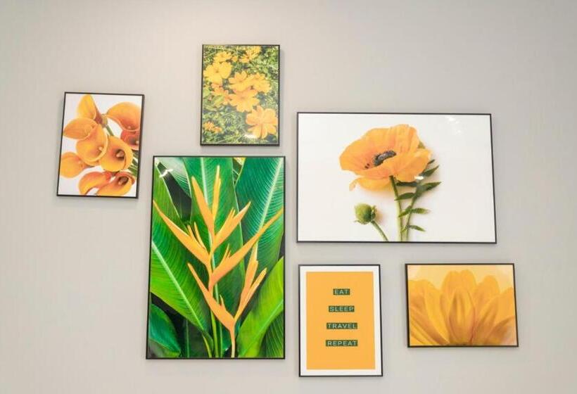 سوییت, La Casa Tuy Hòa