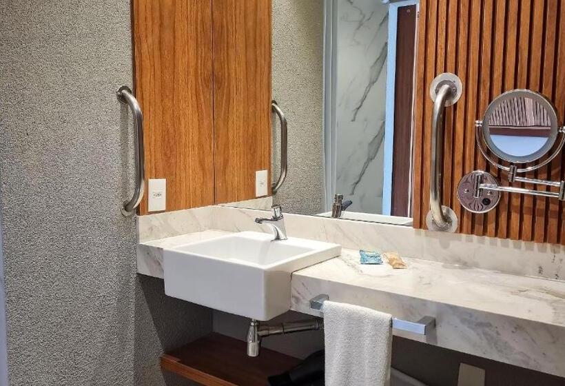 Номер Стандарт Кровать Кинг Адаптированный для Инвалидов, île De Pipa Ma Plage